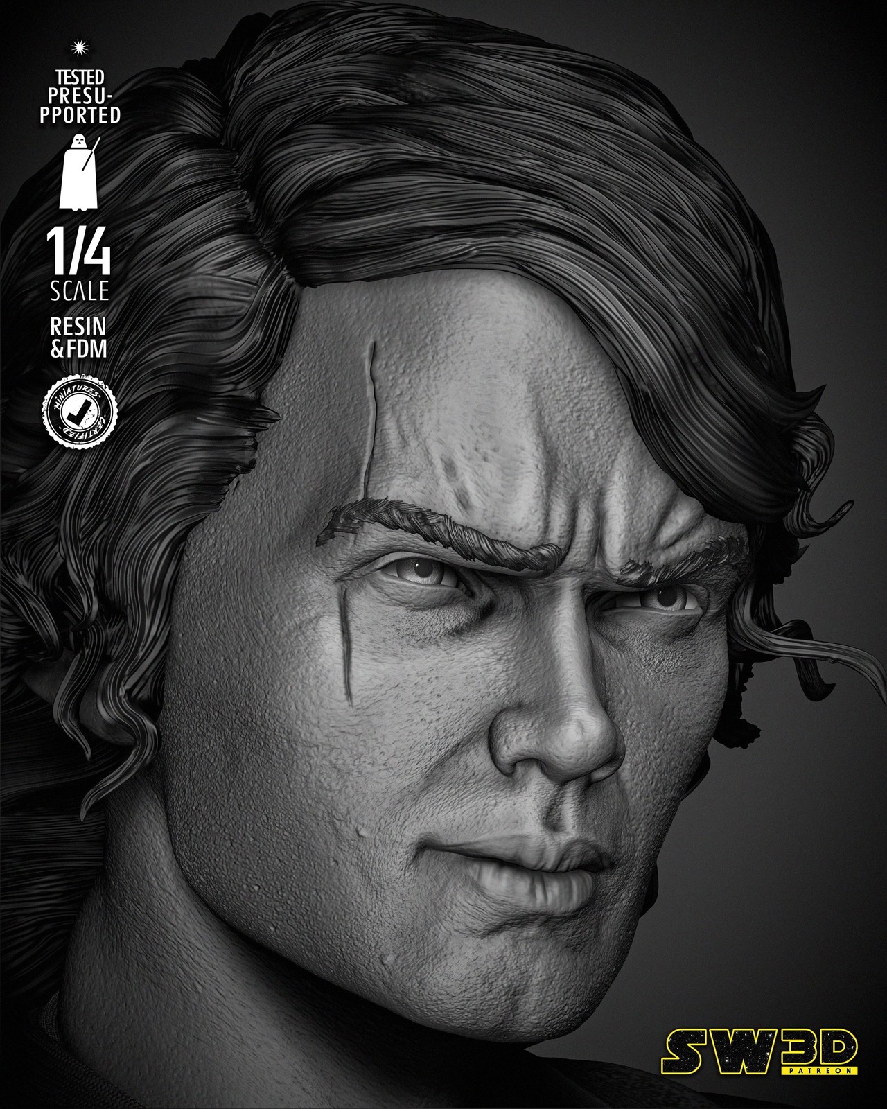 Anakin 2024 Portrait Bust - Image 5