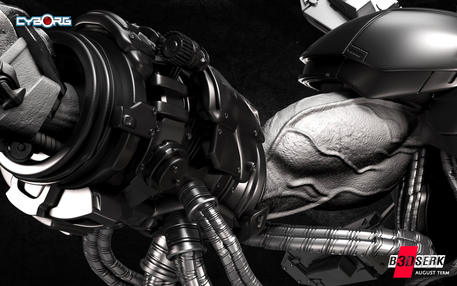 Cyborg Bust 1/4 - Image 5