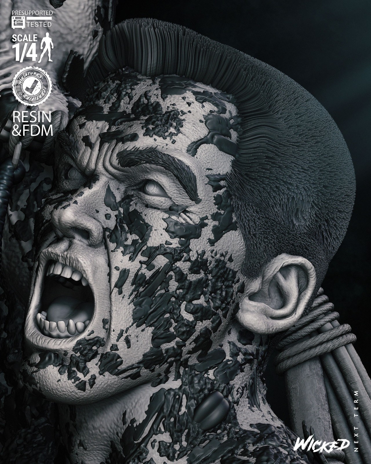 Dutch Bust - Image 4