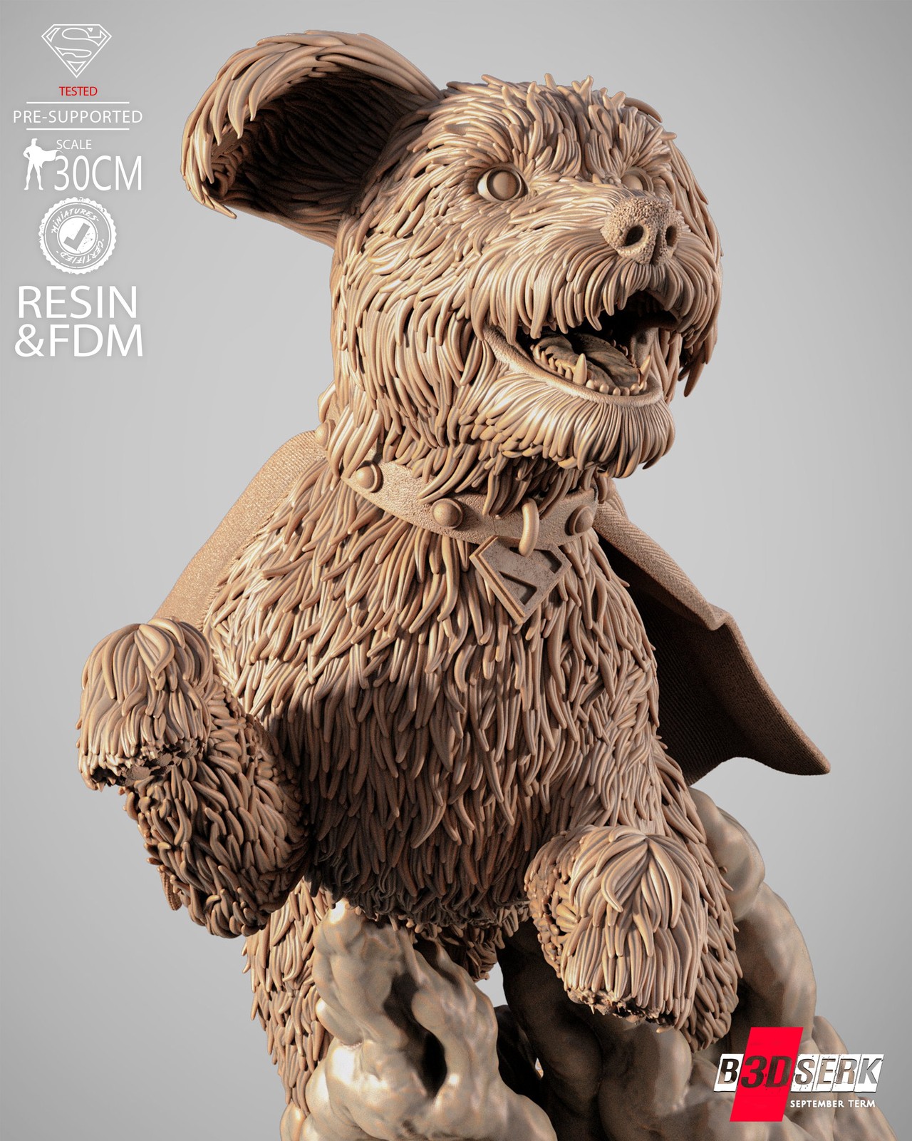 Krypto Bust - Image 3