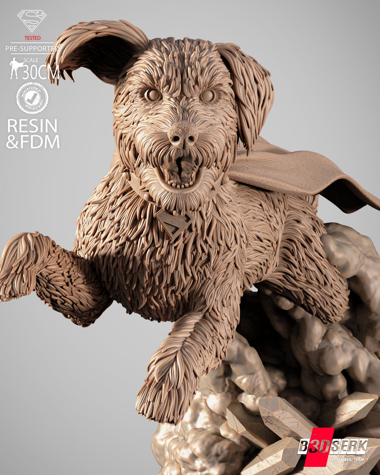 Krypto Bust - Image 4
