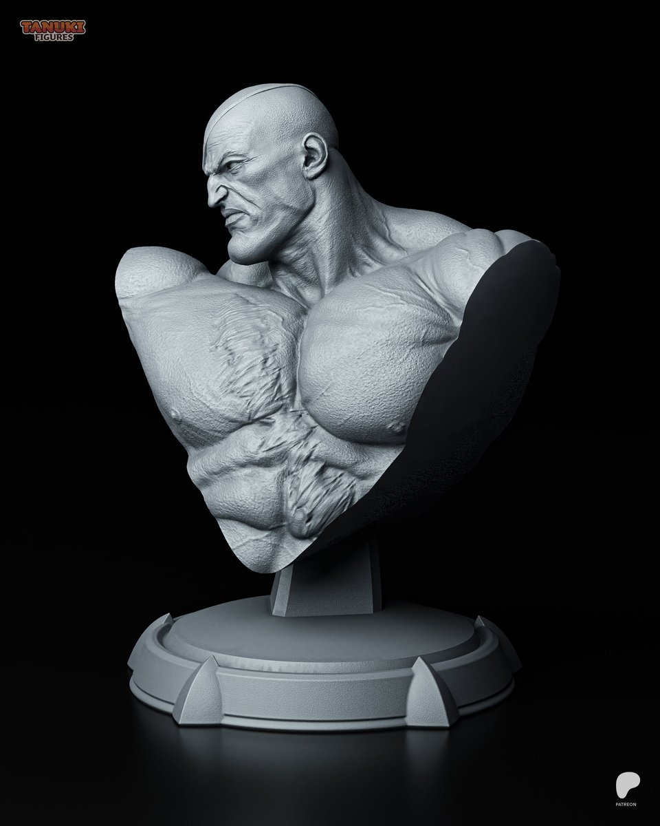 Sagat - Bust (Street Fighter) - Image 2