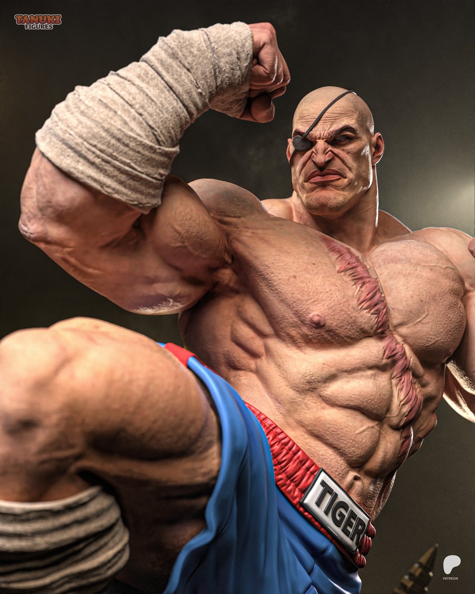 Sagat (Street Fighter) - Image 3