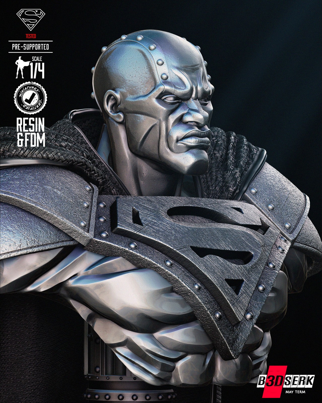 May term 2024 Steel Bust Portrait - Image 3