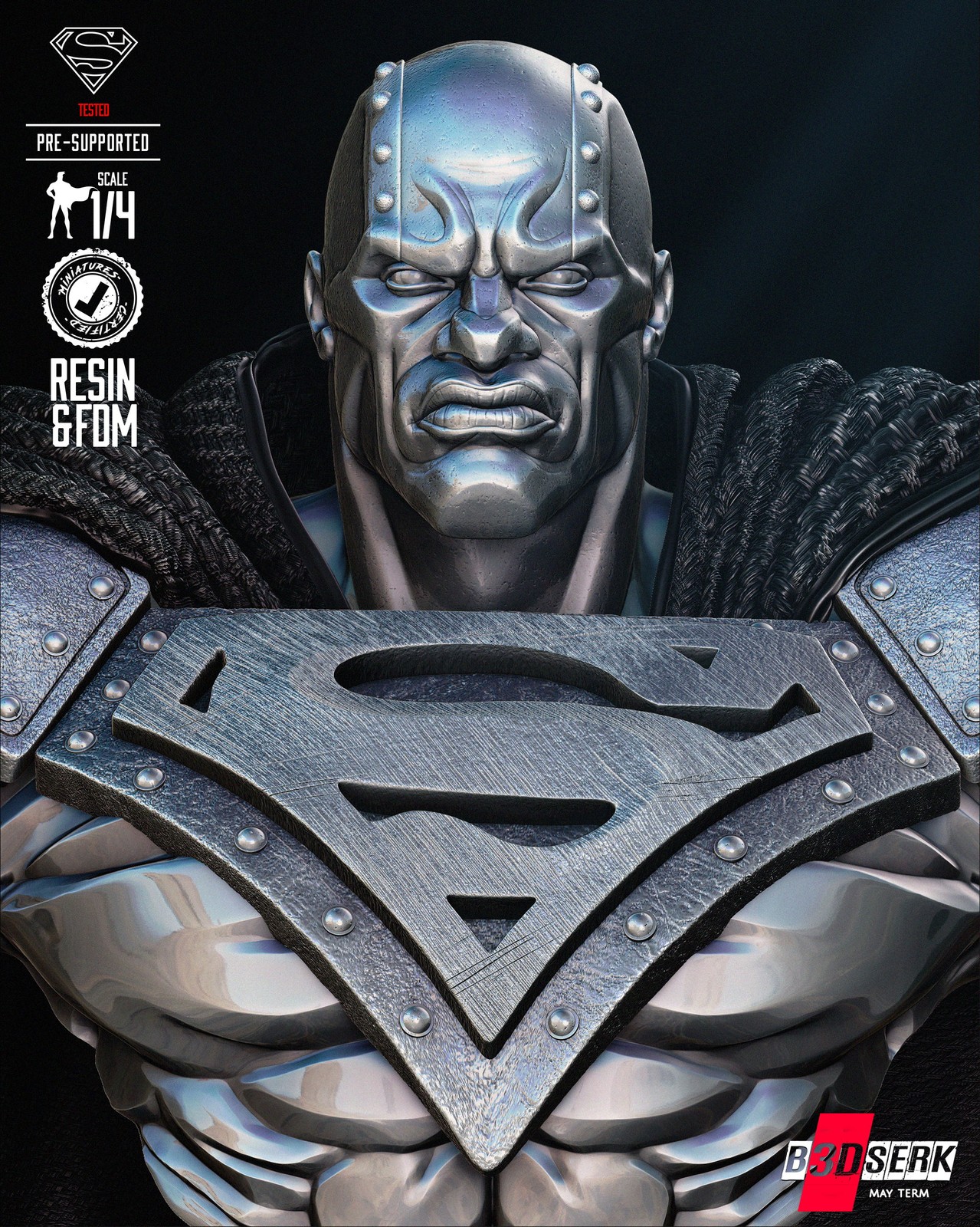 May term 2024 Steel Bust Portrait - Image 4