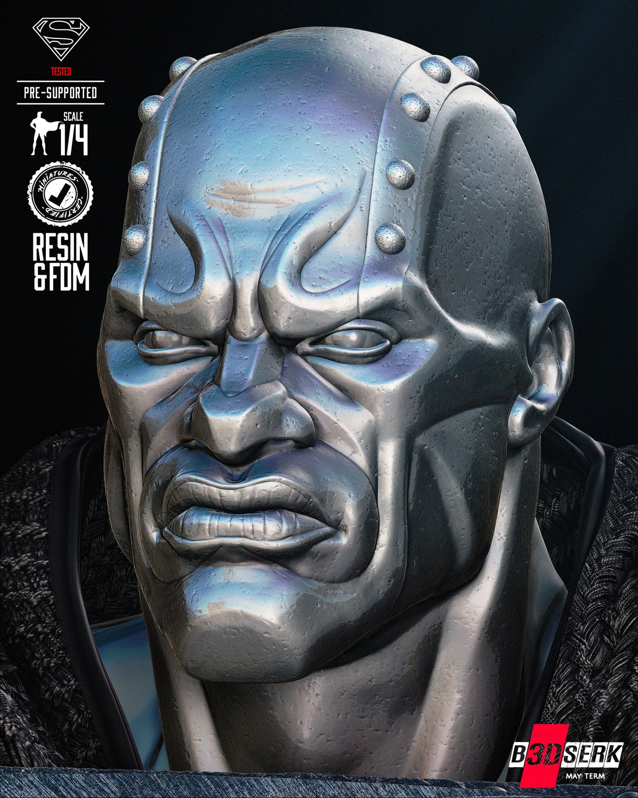 May term 2024 Steel Bust Portrait - Image 5