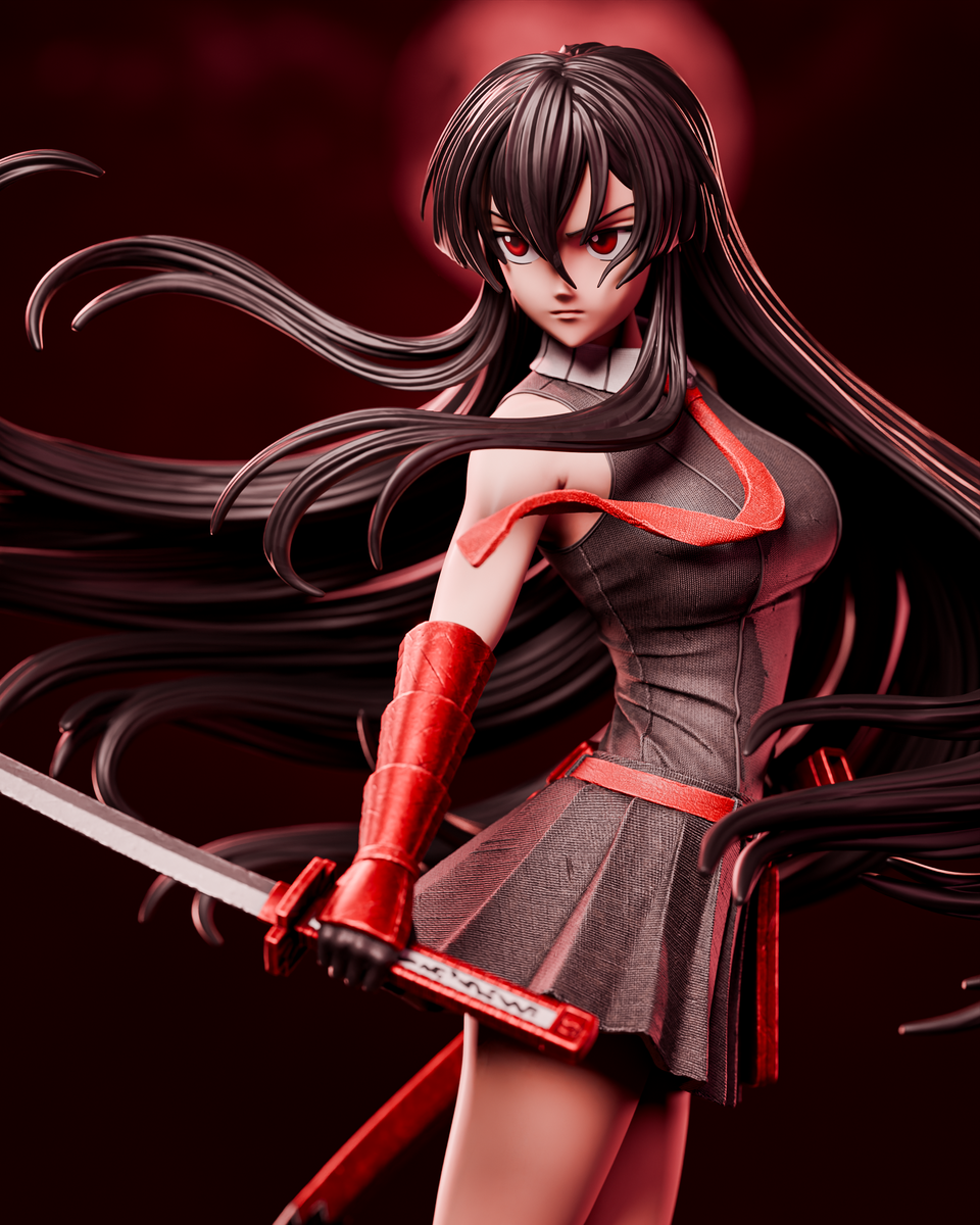 Akame - Image 3