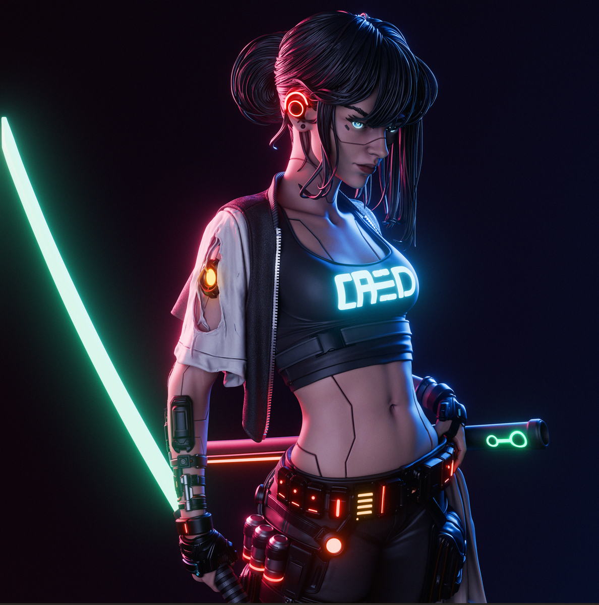 Cyber Samurai