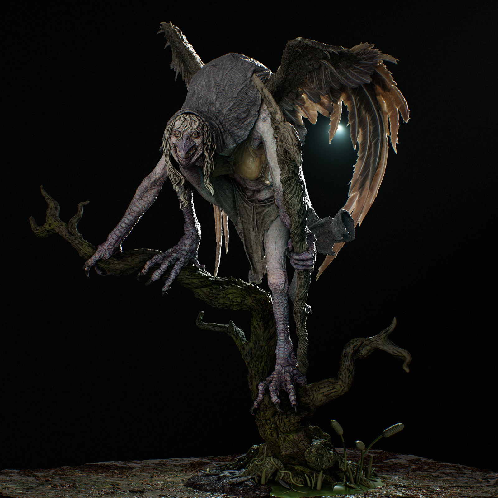 Matinta Pereira - Image 3