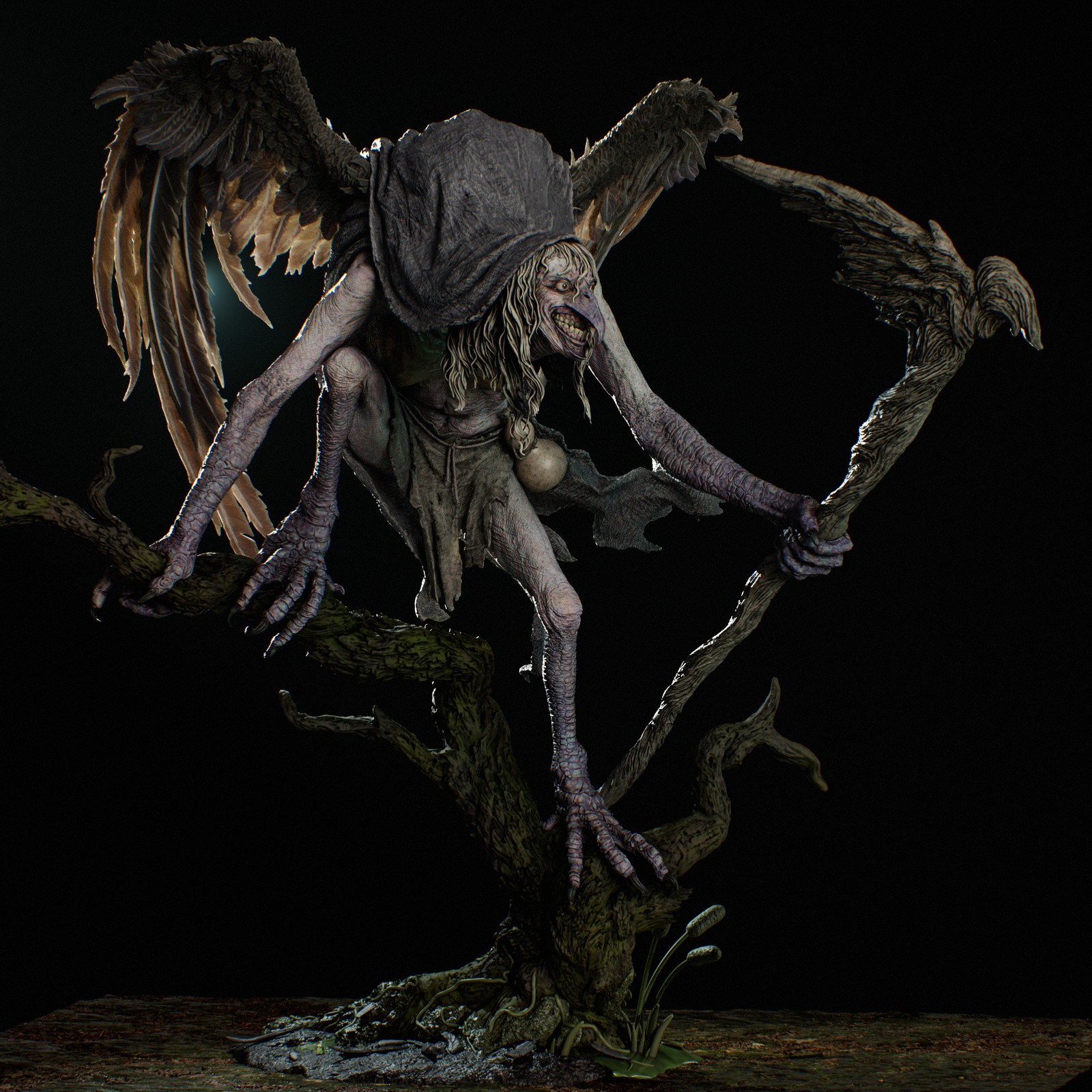 Matinta Pereira - Image 4