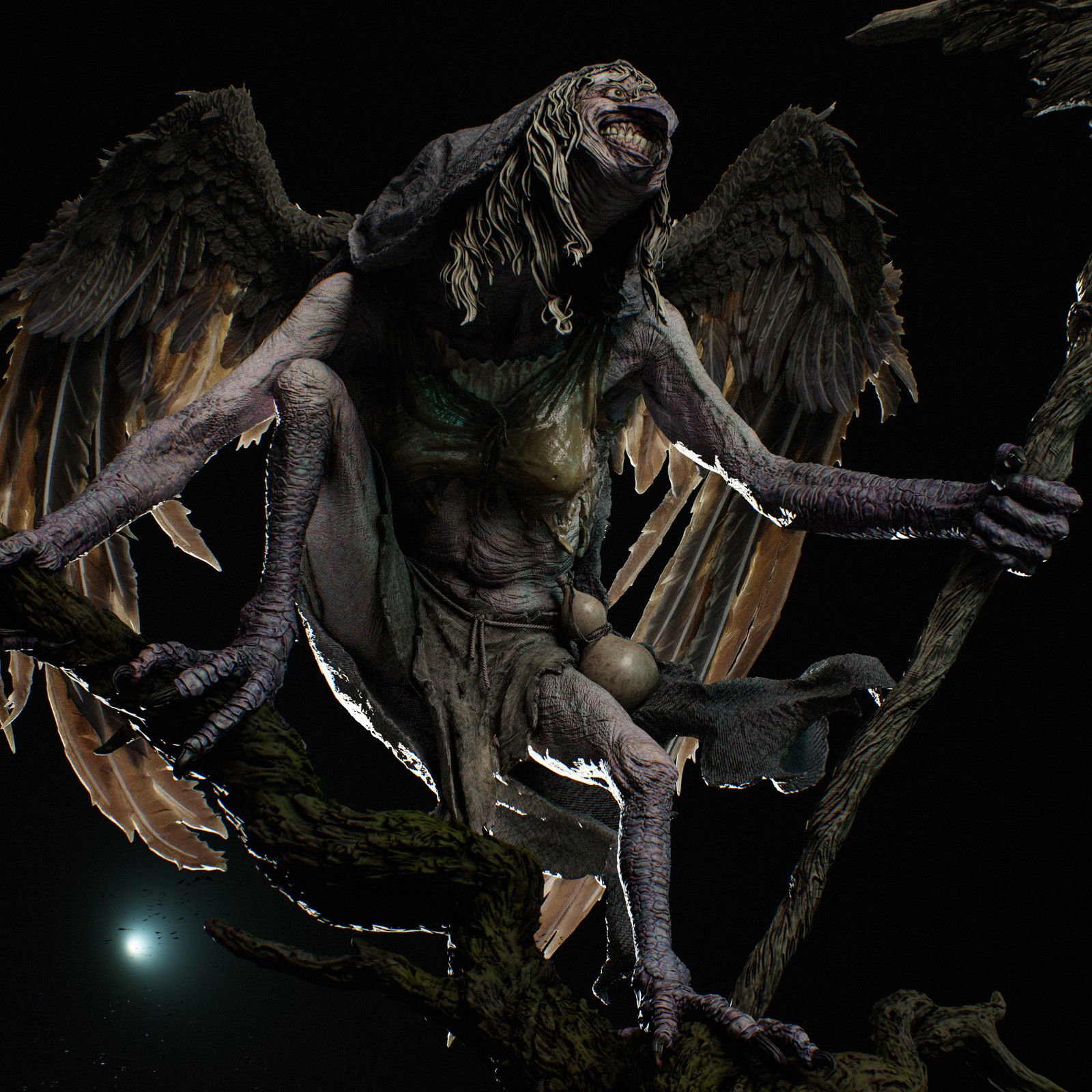 Matinta Pereira - Image 5