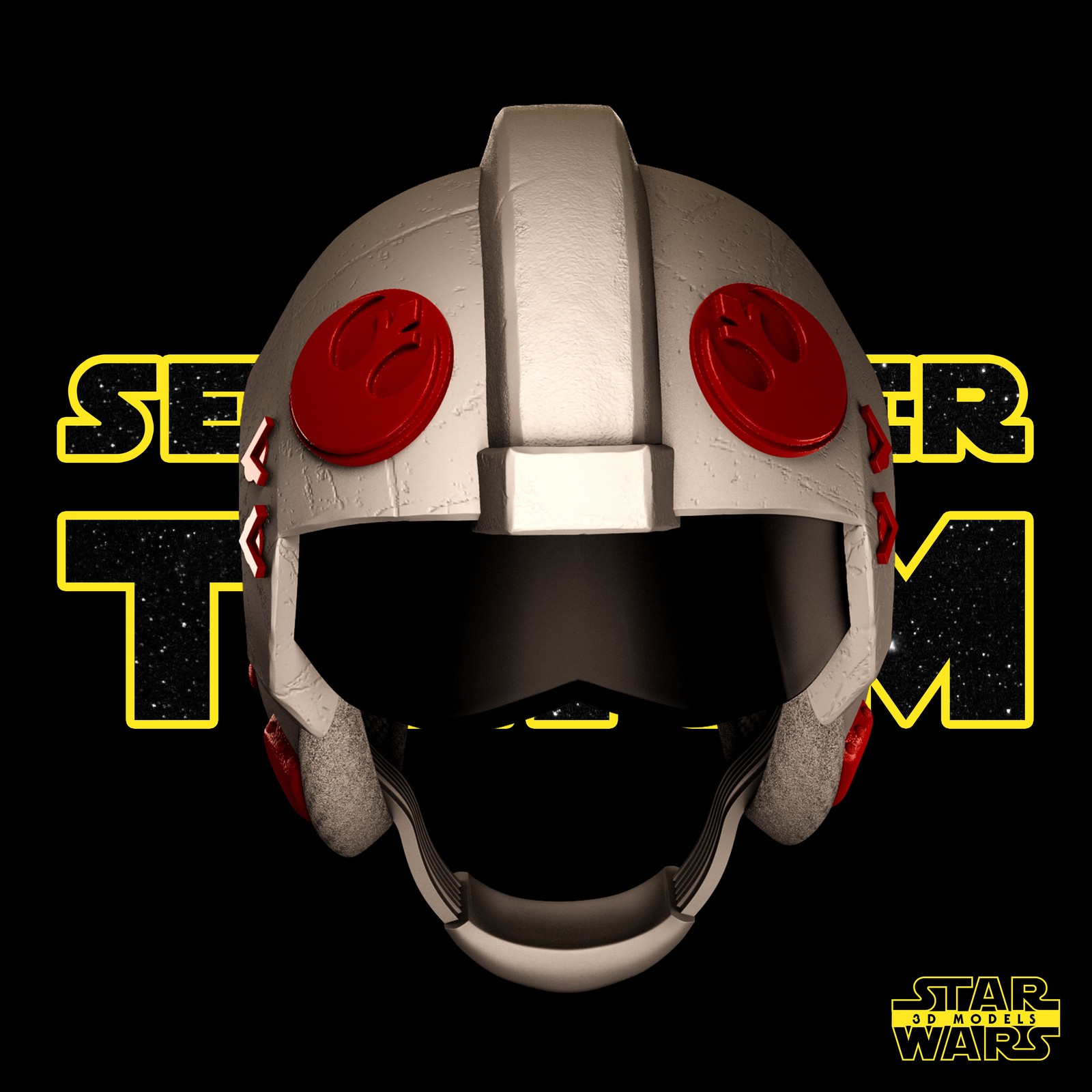 Luke and Leia Helmet