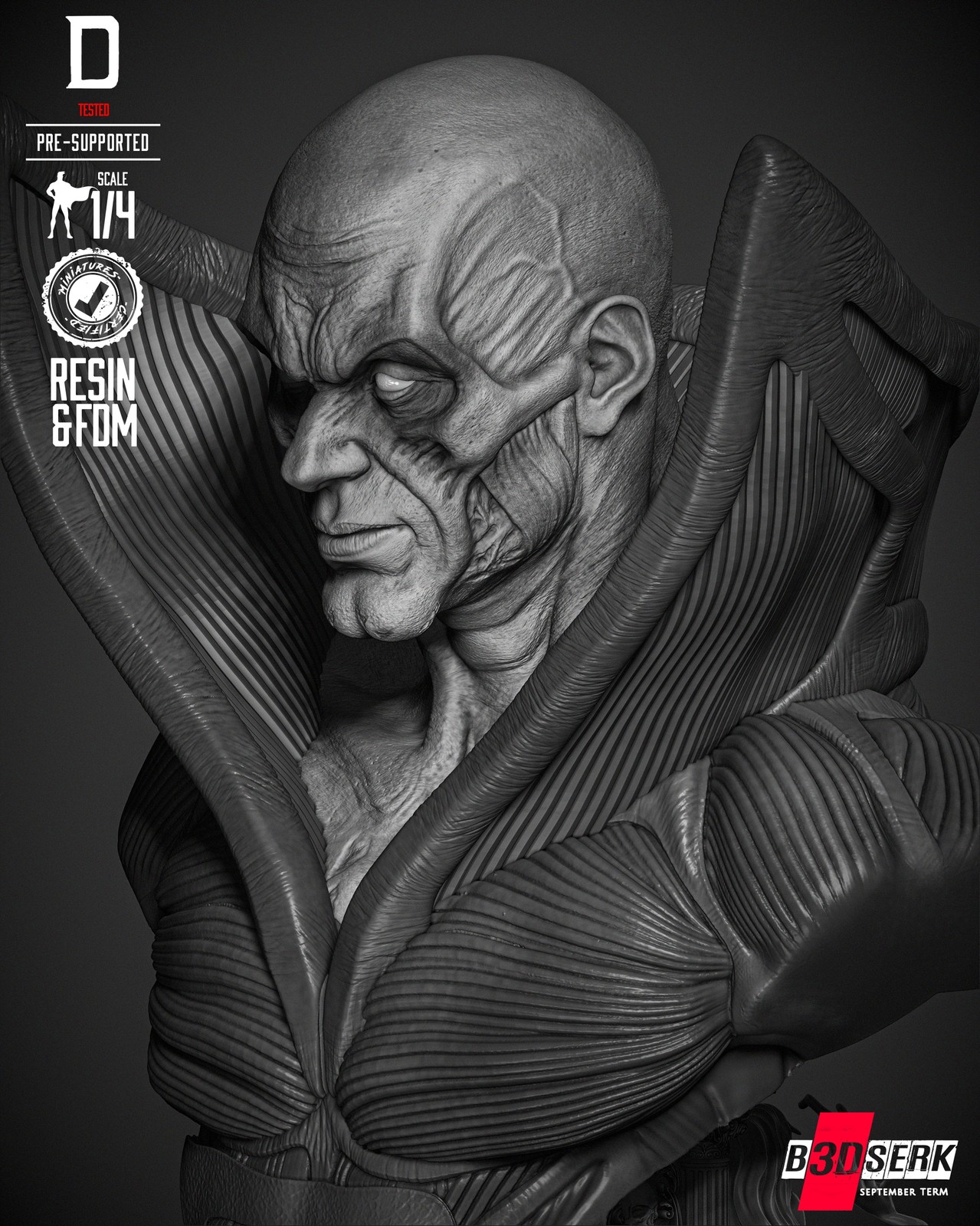 Deadman Bust Portrait - Image 3