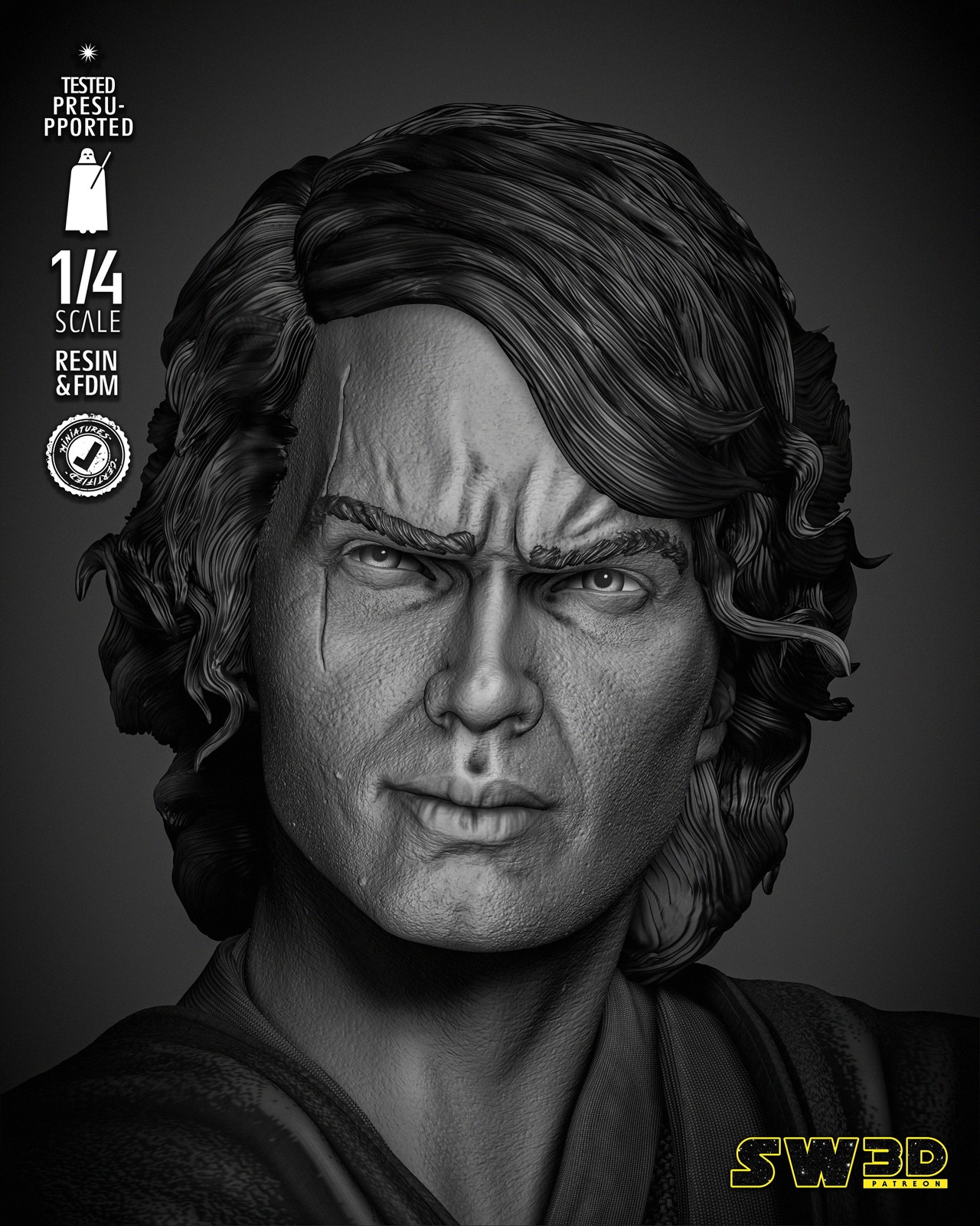 Anakin Skywalker Bust Portrait - Image 4
