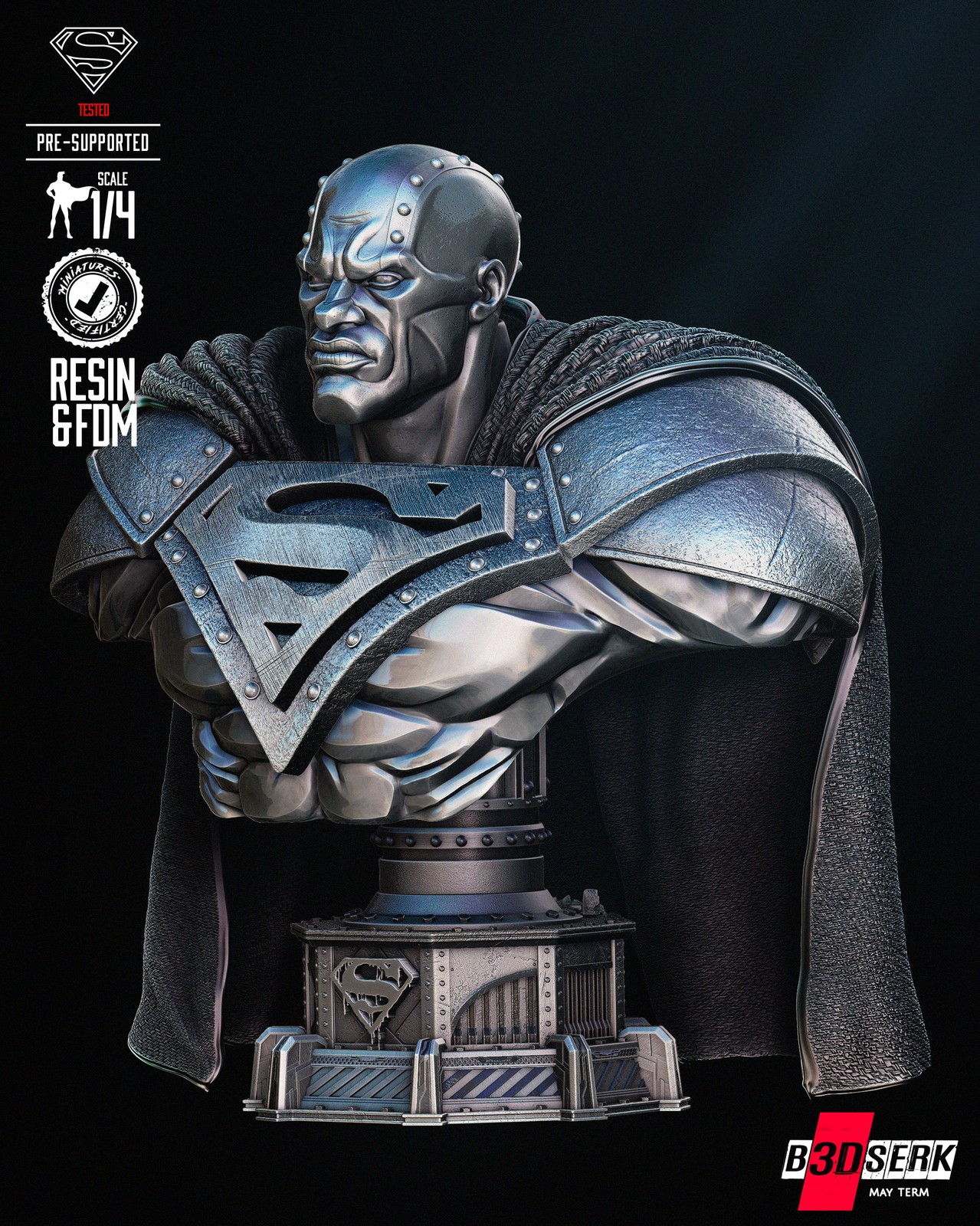 Steel Bust Portrait - Image 3