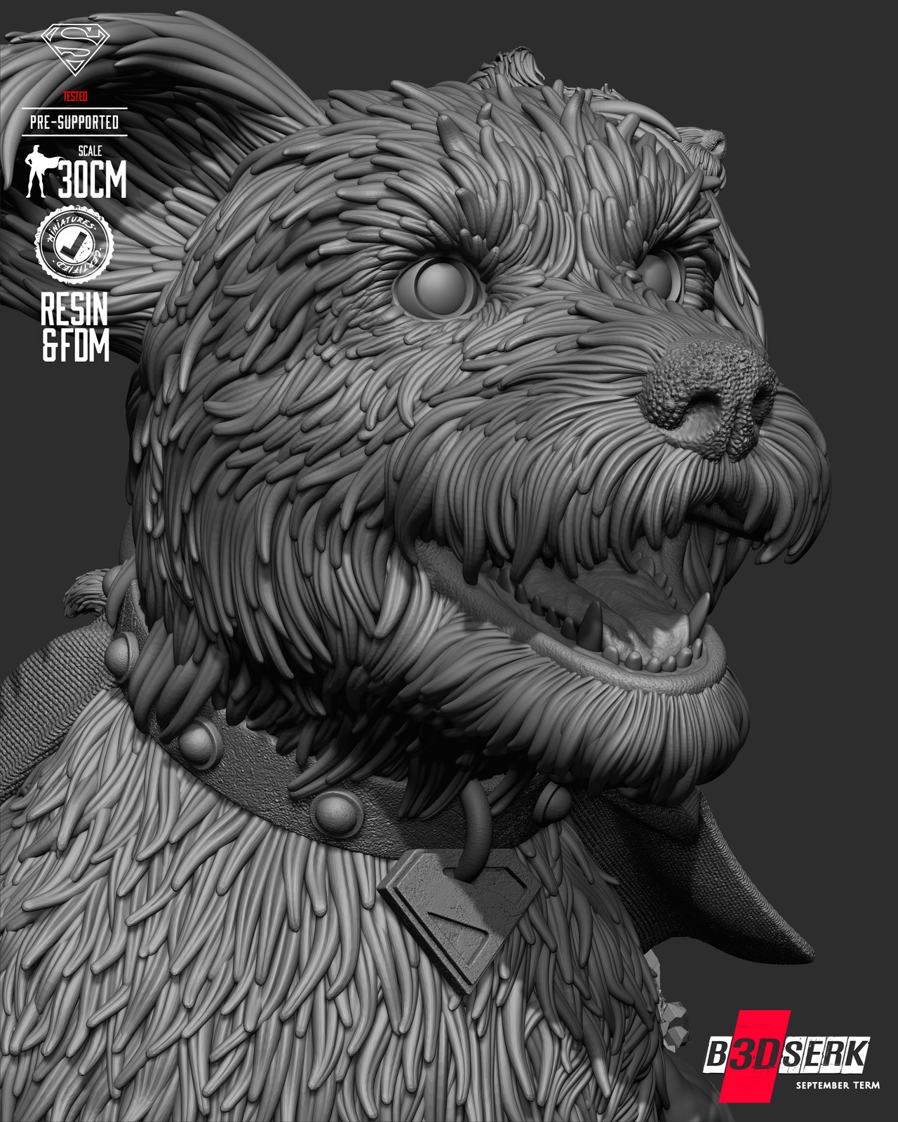 Krypto Bust - Image 5
