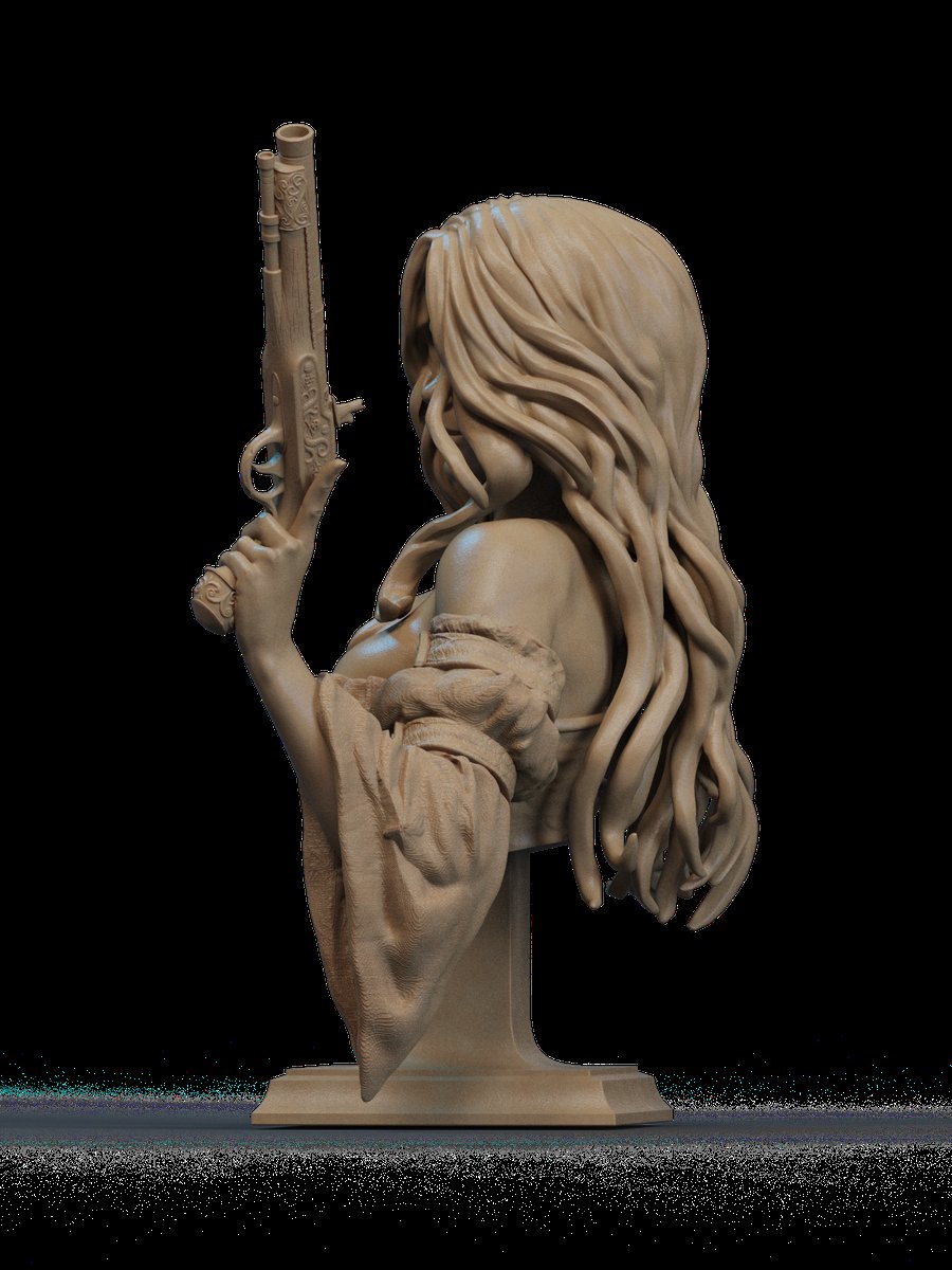 Pirate Bust - Image 2